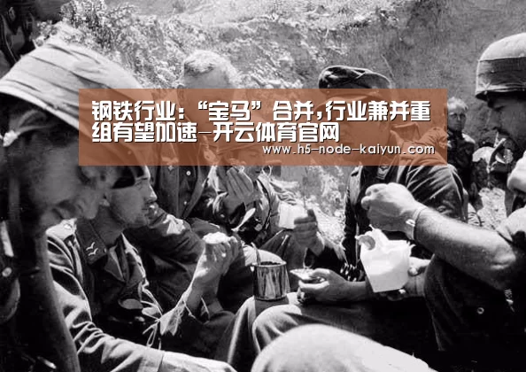 钢铁行业:“宝马”合并,行业兼并重组有望加速-开云体育官网(图2) 开元棋牌电脑版