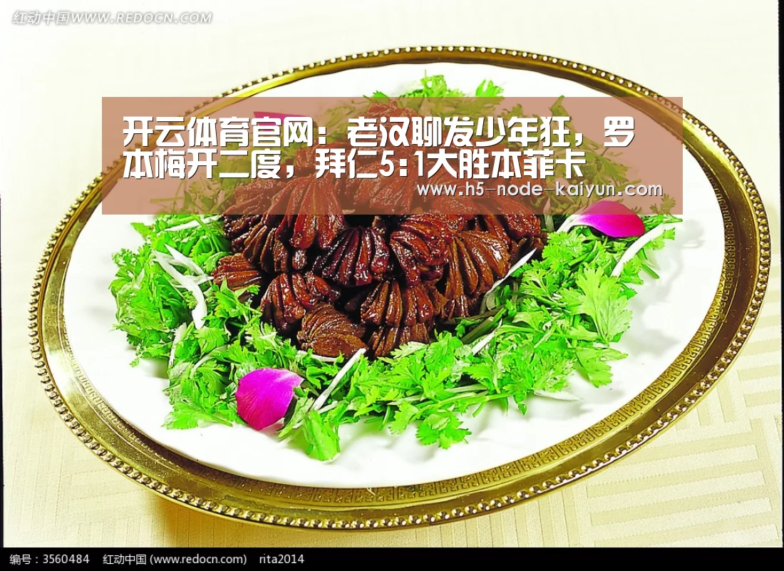 开云体育官网:老汉聊发少年狂,罗本梅开二度,拜仁5:1大胜本菲卡(图3) 开元棋牌app