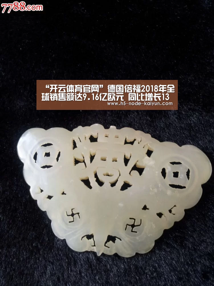 “开云体育官网”德国倍福2018年全球销售额达9.16亿欧元 同比增长13%(图4) 开元棋牌app