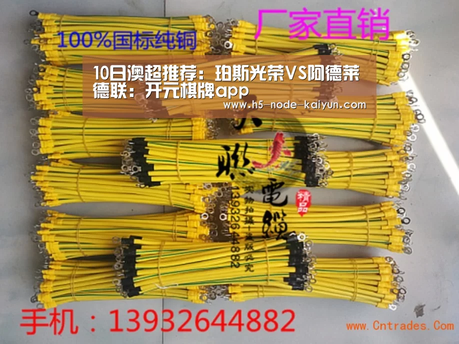10日澳超推荐:珀斯光荣VS阿德莱德联:开元棋牌app(图2) 开元棋牌app