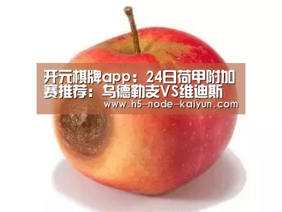开云体育官网