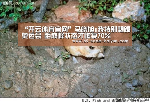 “开云体育官网”马晓旭:我特别想踢奥运会 距巅峰状态才恢复70%(图2) 开云体育官网