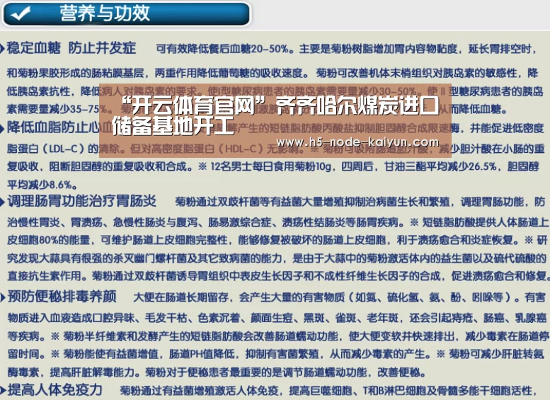 “开云体育官网”齐齐哈尔煤炭进口储备基地开工(图2) 开云体育官网