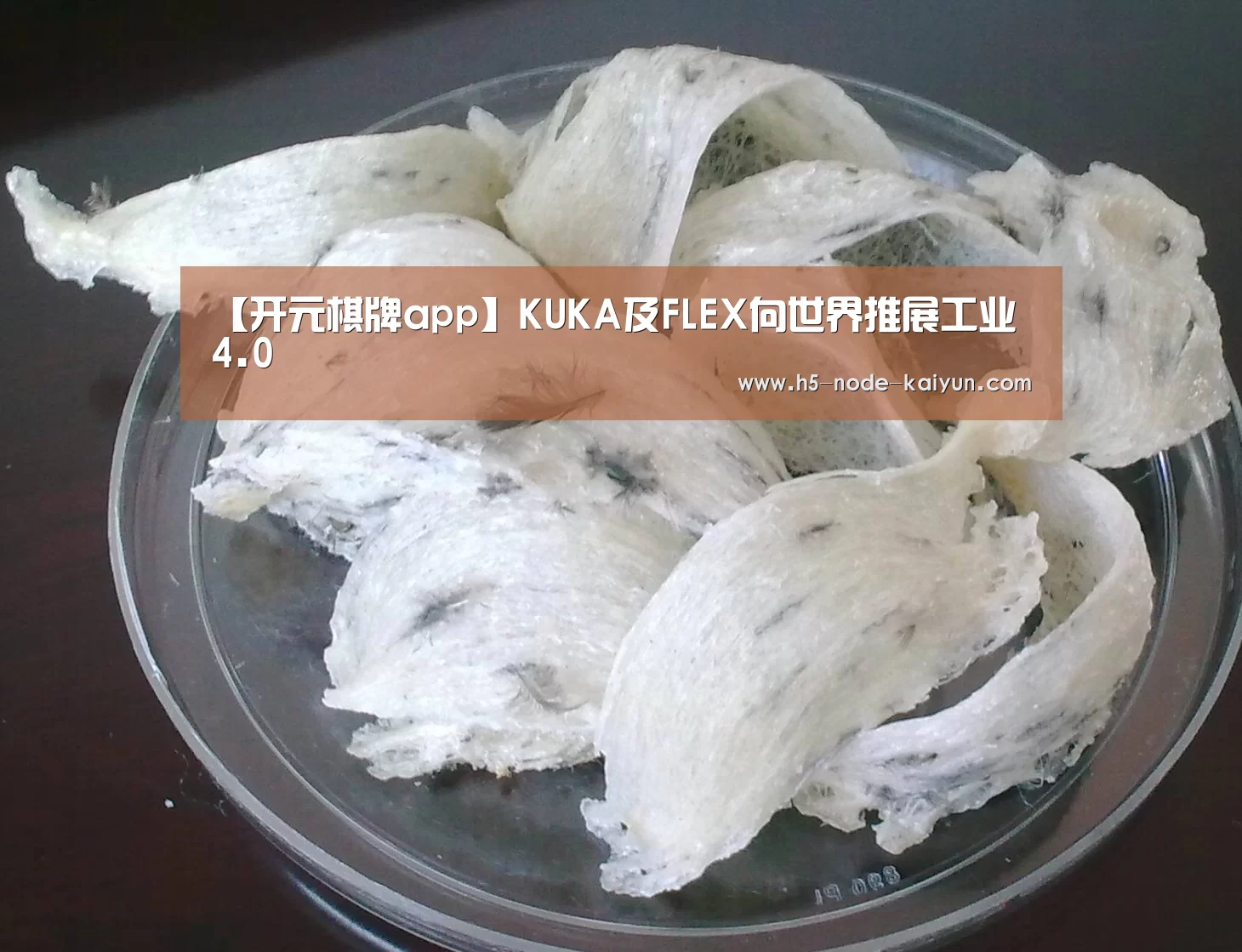 【开元棋牌app】KUKA及FLEX向世界推展工业 4.0(图2) 开元棋牌官方下载