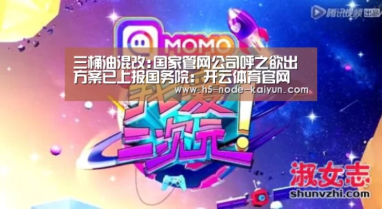三桶油混改:国家管网公司呼之欲出方案已上报国务院:开云体育官网(图3) 开云体育官网
