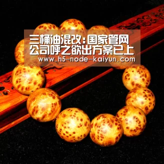 三桶油混改:国家管网公司呼之欲出方案已上报国务院:开云体育官网(图2) 开云体育官网