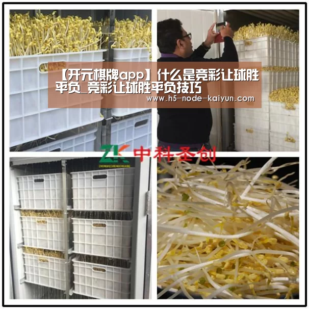 【开元棋牌app】什么是竞彩让球胜平负_竞彩让球胜平负技巧(图2) 开云体育官网