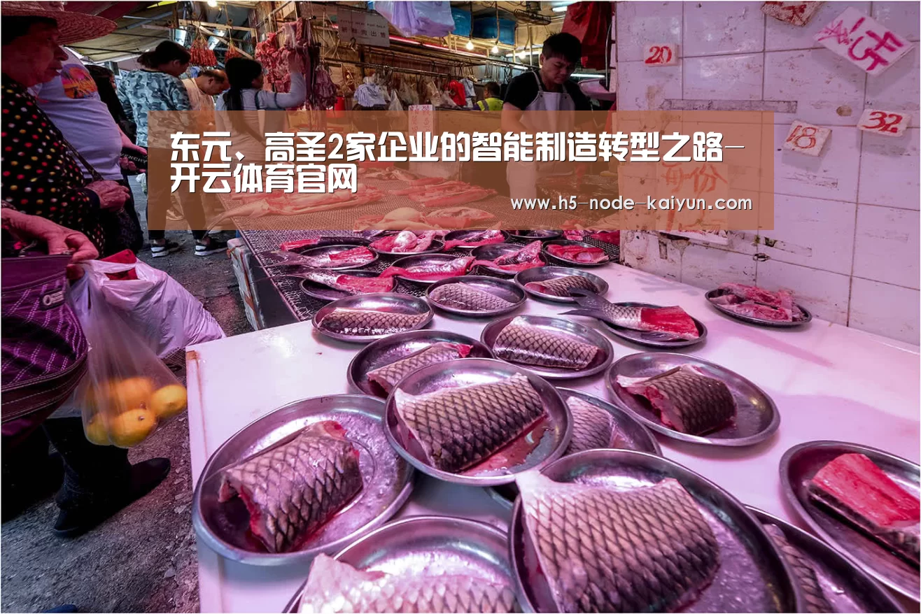 东元、高圣2家企业的智能制造转型之路-开云体育官网(图1) 开元棋牌app