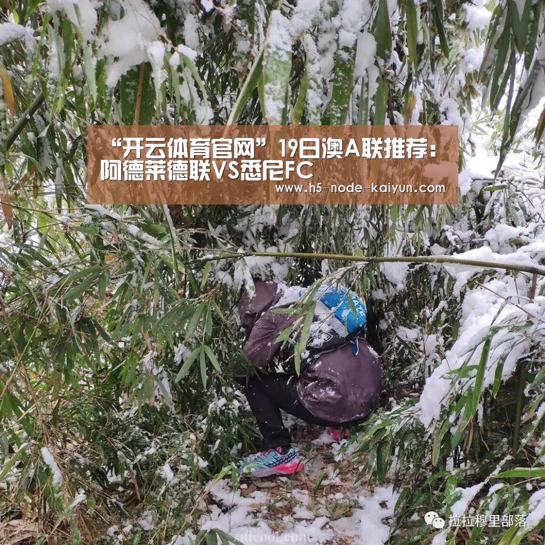 “开云体育官网”19日澳A联推荐:阿德莱德联VS悉尼FC(图3) 开云体育官网