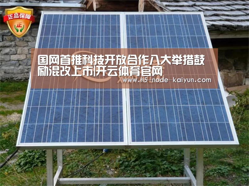 国网首推科技开放合作八大举措鼓励混改上市|开云体育官网(图3) 开元棋牌app