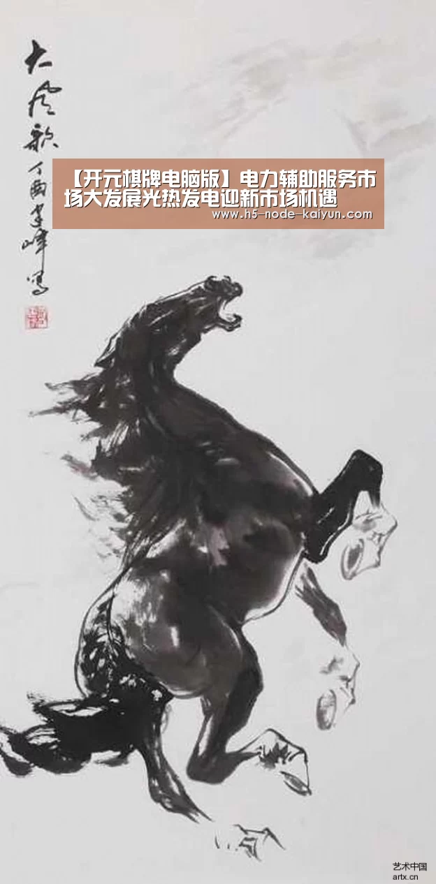 【开元棋牌电脑版】电力辅助服务市场大发展光热发电迎新市场机遇(图2) 开云体育官网
