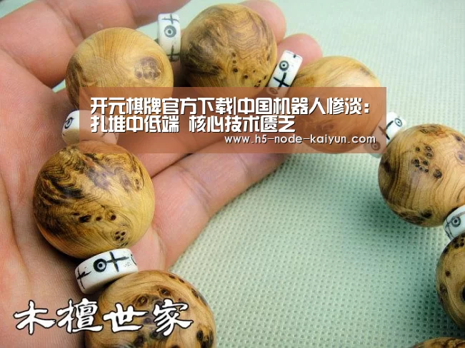 开元棋牌官方下载|中国机器人惨淡:扎堆中低端 核心技术匮乏(图2) 开元棋牌app
