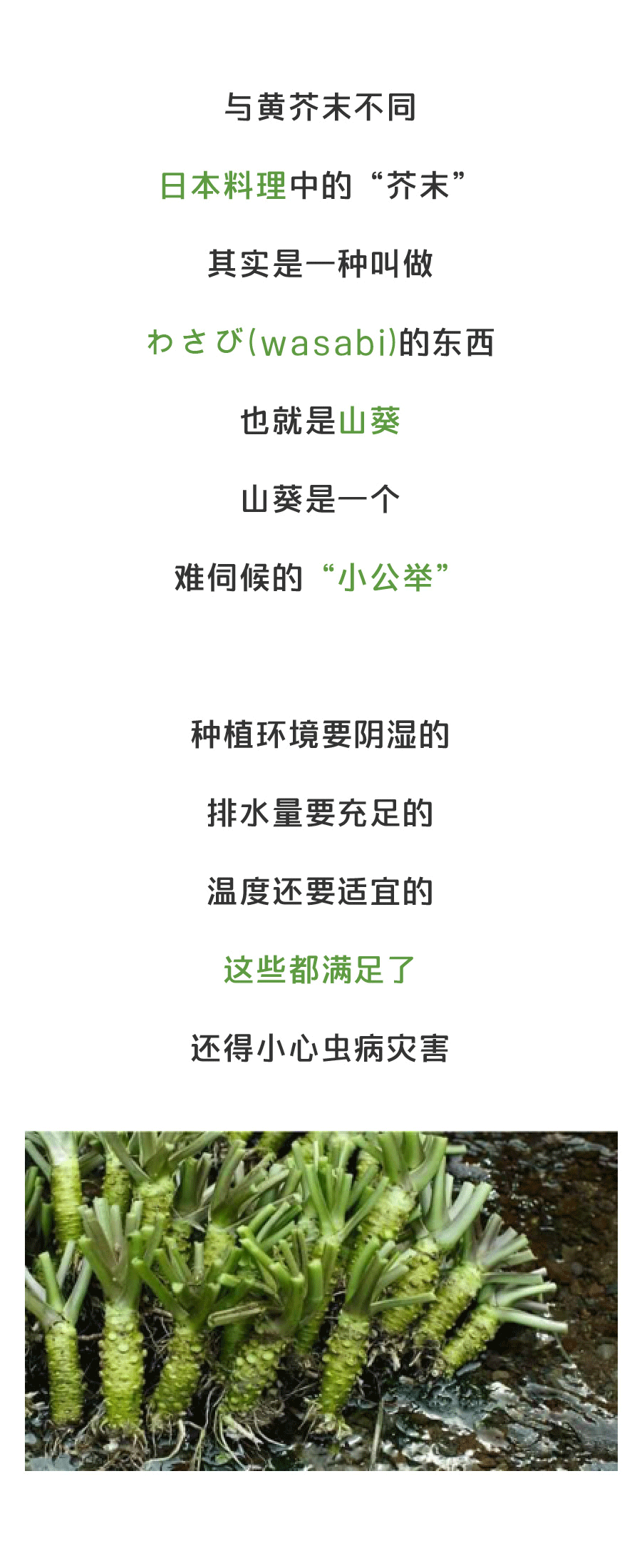 开元棋牌app