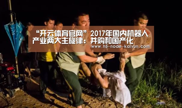 “开云体育官网”2017年国内机器人产业两大主旋律:并购和国产化(图1) 开元棋牌电脑版